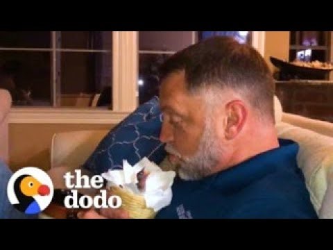 Rescued Sparrow Takes Baths With Her Human Mom | The Dodo