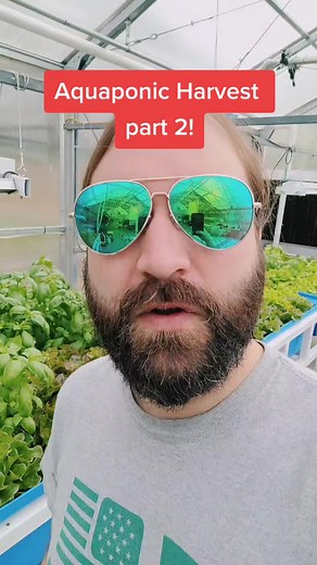 Aquaponics and Hydroponics Harvest Guide