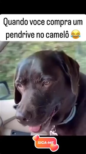 #videos #videosengracados #viral #viraltiktok #rir