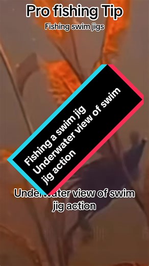 Pro fishing tip. Fishing a swim jig. Underwater view of swim jig action