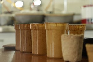 Crean un vaso biodegradable con residuos de café en Medellín