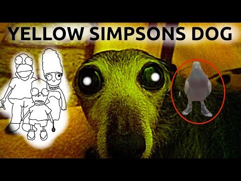 funny dogs having a play and making a mess FT THE SIMPSONS!!!!!