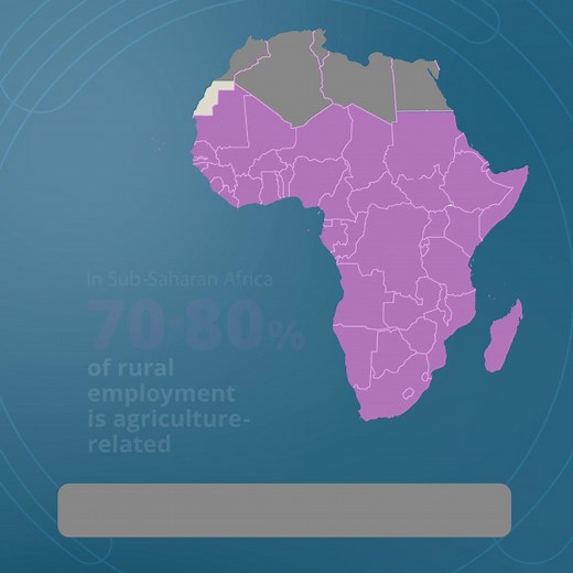 From farm to market, agriculture is Sub-Saharan Africa’s untapped jobs engine. Explore the data and discover how investing in a agriculture can drive growth and job creation: http://wrld.bg/I46J50Xr2HY | World Bank Ghana