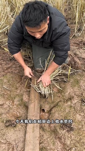 The red snake will bite Papa.🤯😱 viral gadget Home appliances kichen application #facts #shorts