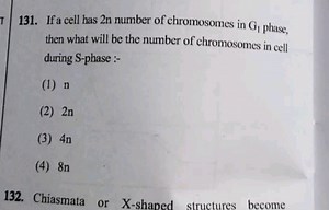 If a cell has 2 n number of chromosomes in \mathrm { G } _ { 1 ... | Filo