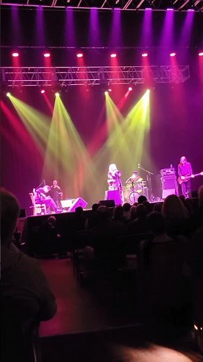 Cowboy Junkies (live)