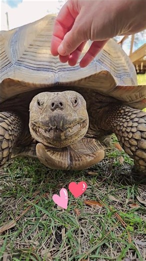 go on with your cuteness 💕✨