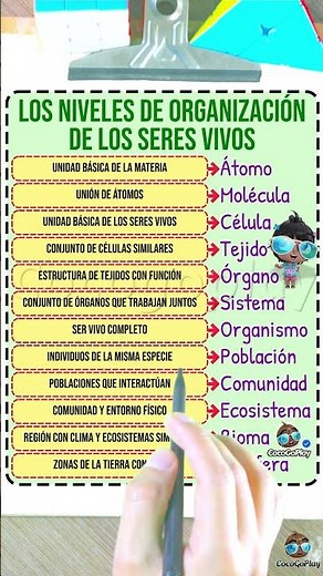 Los niveles de organización de los seres vivos.
