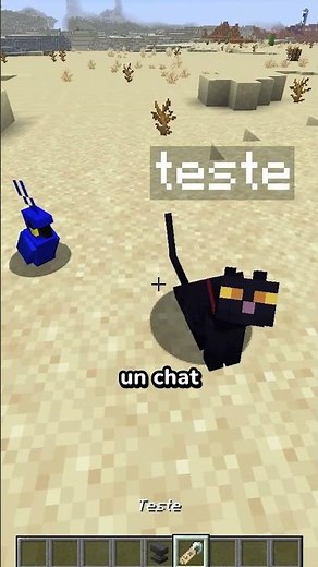 Le système le plus cruel de Minecraft.