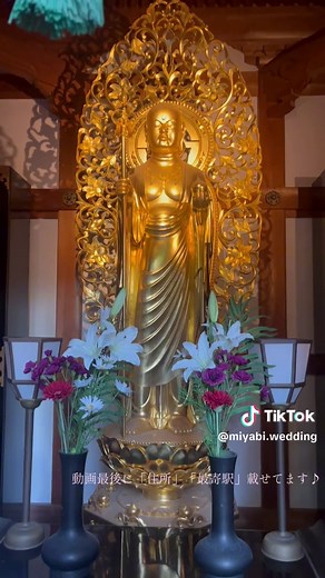 鎌倉オススメ観光スポット「長谷寺」参詣動画