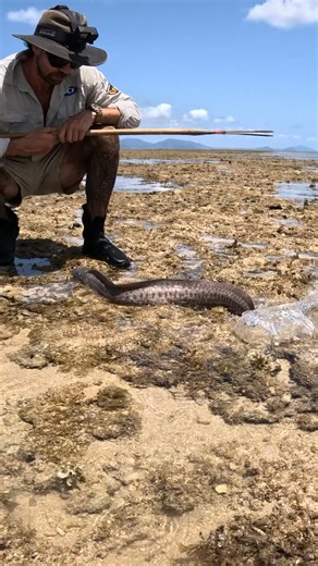 Back 2 Basics Adventures on Instagram: "Exploring different ecosystems & hunting methods… new ep live tomorrow morning #back2basics #youtube #australia"