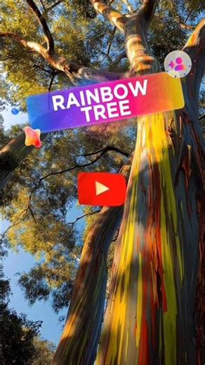 The Rainbow Tree That Changes Colors 🌈