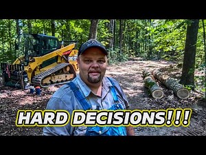 MULE LOGGING and GOOD JUDGEMENT! Know your limits…#251 #horselogging #mules #caterpillar #skidsteer