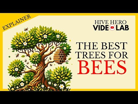 Best Trees For Bees (And Beekeepers)