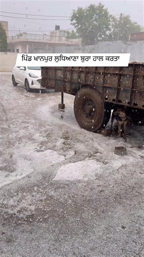 Roopa Sekhon on Instagram: "#trending#farming#cow farm#haryana#punjab#world"