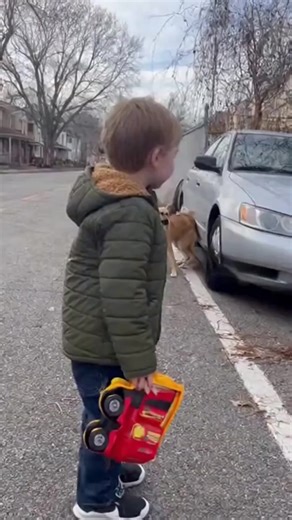 CAT 416 “What do you think my cat’s plotting this time? That face says something evil 😹” #EvilCatLook #MeowMood #CatAttitude #CatLoverForever #FunnyCatVibes #PetReels #CatWorld | Cat lover