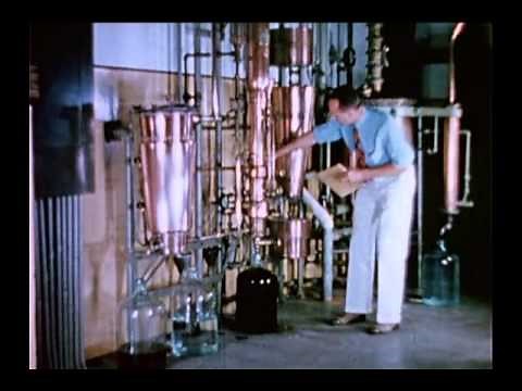 The Tree in a Test Tube, 1942