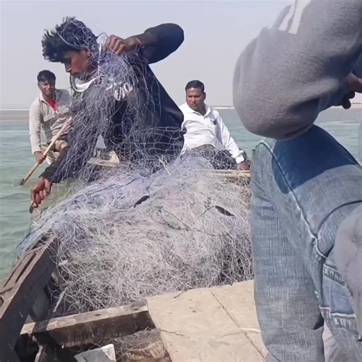 Fish hunting 2 on Instagram: "Best Amezing Fishing Net fishing #fishingvideo"