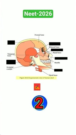 neet locomotion and movement questions practice