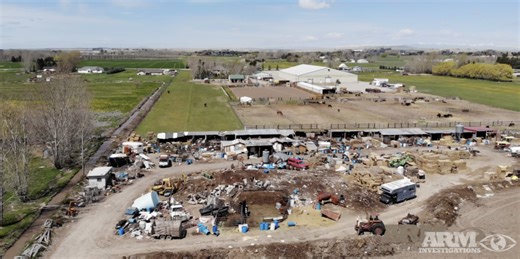 Idaho Falls feedlot being investigated for alleged animal abuse and illegal activity - East Idaho News