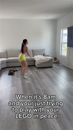 When you just want to play with your LEGO in peace