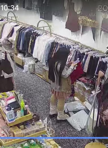 #groundhog #Dolphin #horse #tiger #monkey #fuck #animals #pet #chicken #dog #cat #catlover