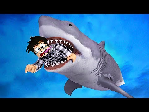 LE PLUS GRAND REQUIN DE ROBLOX
