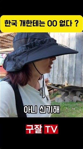The thing Korean dogs don't have...