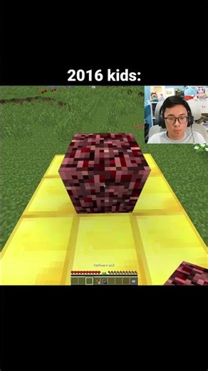 Minecraft Nostalgia Moment