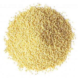 Organic Millet Seeds Buy in Bulk from Food to Live