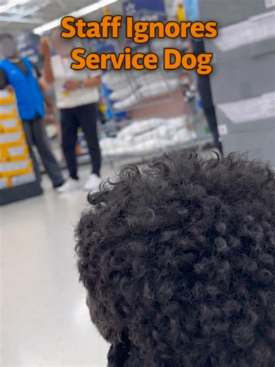 Service Dog Helps Owner With POTS Fainting Disorder