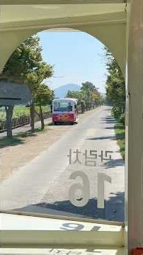 순천만 갈대열차 #travel #귀촌생활 #산골 #시골장 #cafe #자연농원