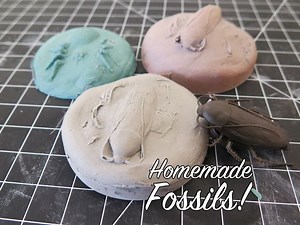 Homemade Fossils! #makereducation