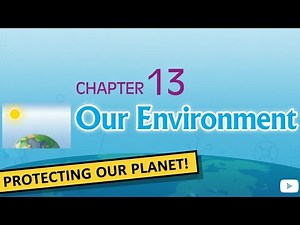 Class 10 Science Chapter 13 | Our Environment | One Shot NCERT | Board Exam 2026 #boardexam2026