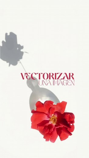 Cómo convertir fotos a imágenes vectoriales en Illustrator