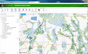 General overview of the TENGRAPH (Web) Silverlight version