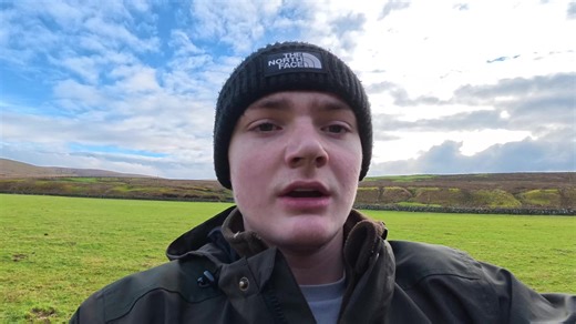 Understanding Ferret Hunting Techniques and Benefits