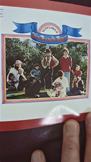The Beach Boys – All I Wanna Do | SONGS I LOVE 🎵