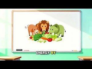 Ecosystem Structure and Function