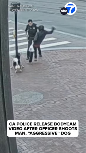488K views · 3.8K reactions | San Francisco police say an aggressive dog charged at them multiple times in what led up to a police shooting earlier this month. | ABC7 | Facebook