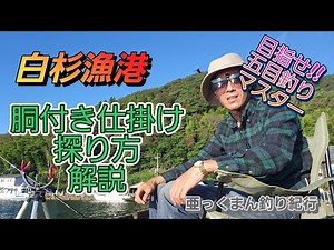 【白杉漁港】胴付き仕掛け探り方解説 キャストから５秒で釣る方法‼️
