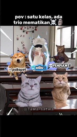 Calm down, the hero already exists☠️🗿 #funny #comedy #jokes #shorts #cutecats #cute #jokes #catlo...