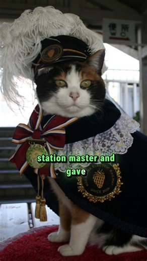 Japan’s Most Famous Railway Worker Was a Cat #truestory #youtubeshorts #viral #history #trending