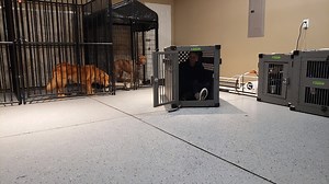 1.1K views · 126 reactions | Wiley trained with us over the winter....