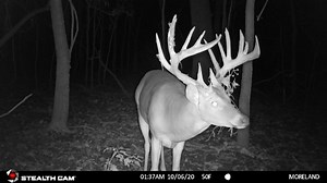 35 reactions | The best part of checking trail cameras… Save 35% off all Stealth Cam products when you sign up for Hunt Camp at www.questhuntco.com #QuestHuntCo #StartYourQuest #ItsAnyonesGame | Quest Hunt Co | Facebook