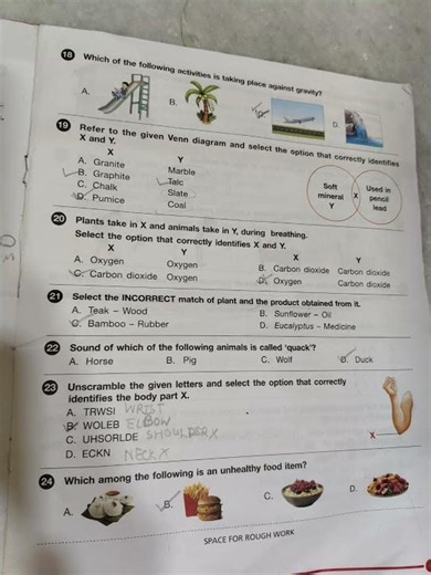 #olympiad science class 3 question paper 2025 ISO