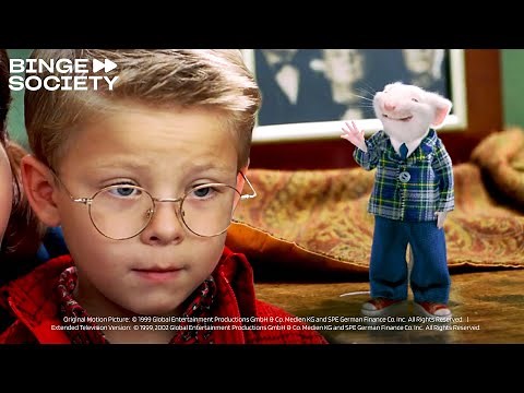 Stuart Little: No es lo que esperaba