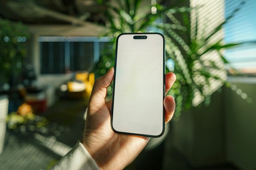 Plain Green Loans: Simple Facts You Need to Know