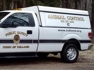 Tolland Officials To Begin Unlicensed Dog Survey