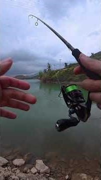 Freshwater fishing with Hanfish Beaver